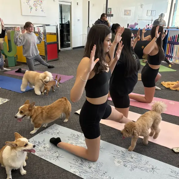 Puppy yoga class at K9 Rox Club Las Vegas